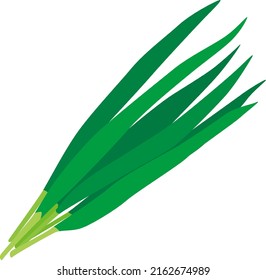 Clip art of Chinese chive. svg