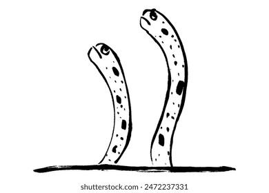 Clip art of chinese eel of brush touch