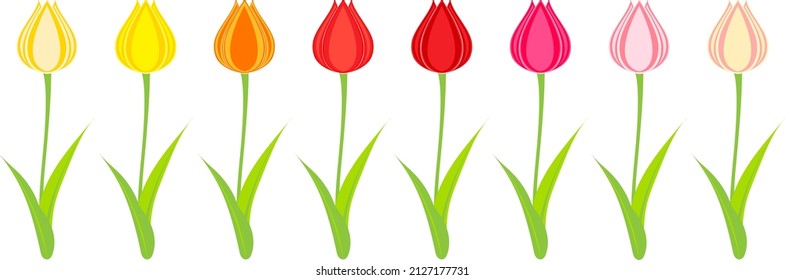 Clip art of colorful tulip flower