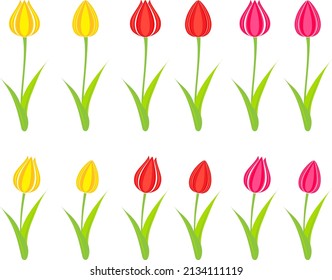 
Clip art of colorful tulip flower