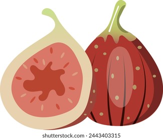 clip art of cut fig and round fig