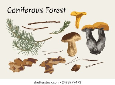 Clip art, design elements, set of nature objects of coniferous forest. Image tracing, cleaned and simplified illustrations. Realistic style. Not AI.