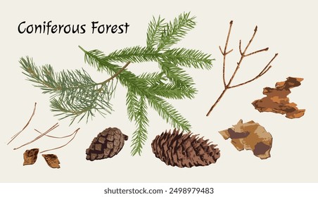 Clip art, design elements, set of nature objects of coniferous forest. Image tracing, cleaned and simplified illustrations. Realistic style. Not AI.