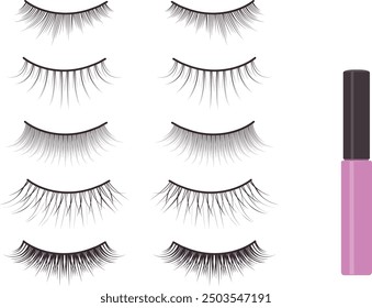 Clip art of false eyelash set