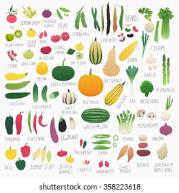 Clip art food collection Vol.2: vegetables