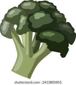 clip art of fresh broccoli