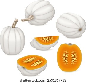 Clip art. Full Moon pumpkin. Winter squash. Cucurbita maxima. Fruits and vegetables. Isolated vector illustration.