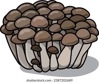 Clip art of gathered shimeji mushrooms