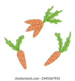 Clip art of hand drawn colored flat carrots. Sketchy hand drawn elements on white background. Ideal for decoration, stickers, greetings, banner and background. Spring concept
