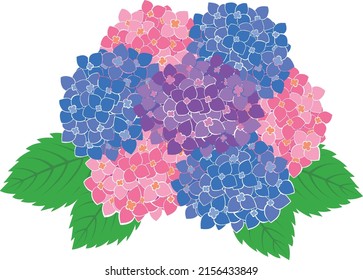 Clipkunst der Hydrangea-Blume