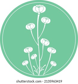 Clip art icon of ranunculus flower