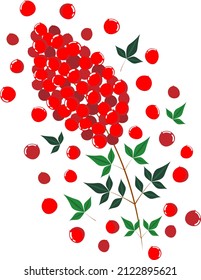 Clip art of nandina fruit with a lot of red berries