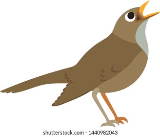 clip art nightingale bird vector graphic