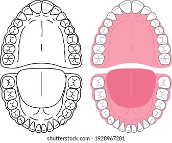 Clip art of oral cavity and teeth