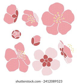 Clip art of plum blossom Decoration Material