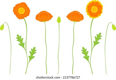 Clip art of poppy flower