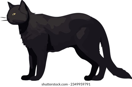 Clip art of realistic black cat_illpainting
