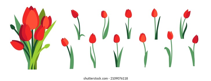 Clip art of red tulip flowers and spring red tulips bouquet isolated on white