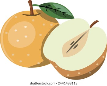 Clip art of round pear and cut pear