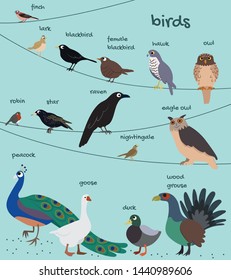 clip art set birds vector graphics