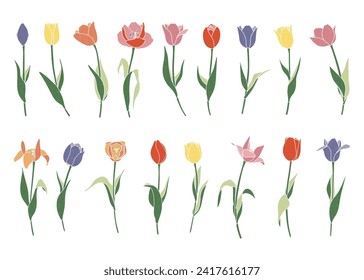 clip art set of colorful tulip Variations