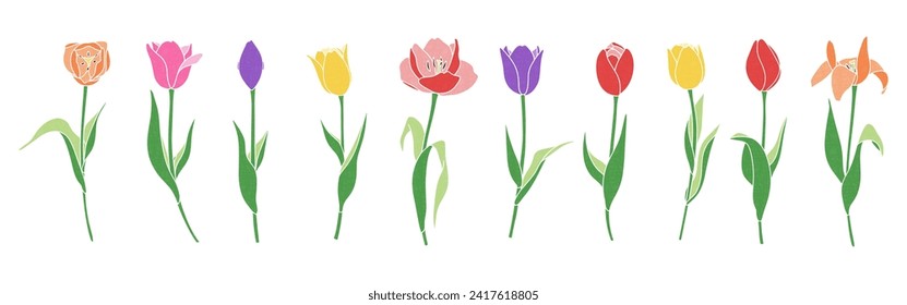 clip art set of colorful tulip Variations