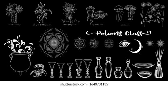 Clip art, set of elements for potions class with cauldron, wine glasses, bottles, magician plants and sacred geometry and symbols. Outline vector illustration..