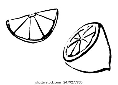 Clip art set of line drawing of lemon with brush touch