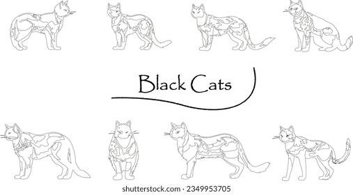 Clip art set of realistic black cat_line drawing