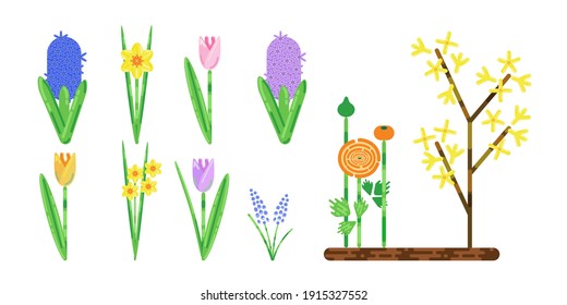 Montaje de imágenes prediseñadas de ilustraciones vectoriales de flores primaverales en estilo plano moderno. 