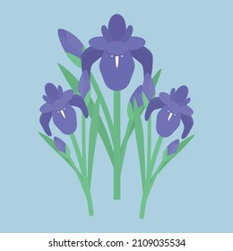 Clipart Art of Simple and Cute Japanese Iris