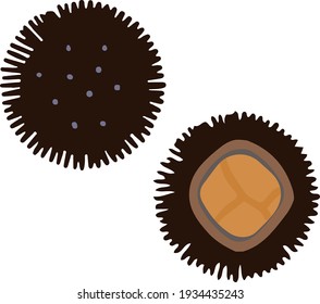 Clip art of simple and cute sea urchin