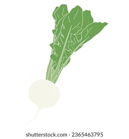 clip art of simple turnip, vector