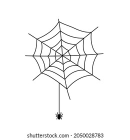 Videokunst von Spinne und Spinnennetz