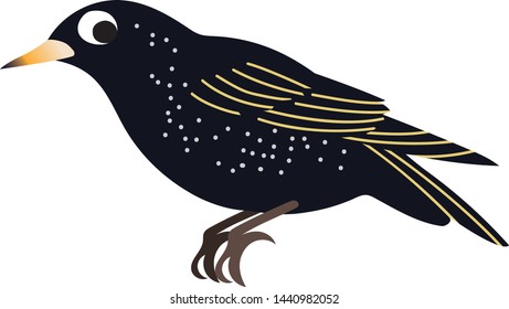 clip art star bird vector graphic