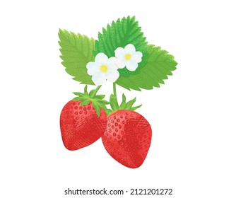 Clip art of strawberries, flowers and leaves