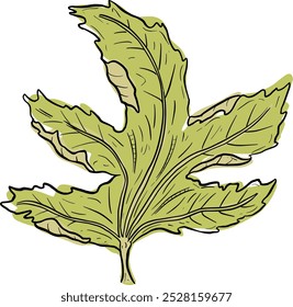 Clip Art Style Autumn Leaf Illustration in Vector 