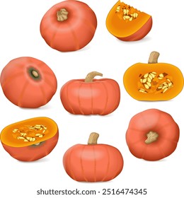 Clip art. Sunshine kabocha squash. Winter squash. Cucurbita maxima. Fruits and vegetables. Isolated vector illustration.