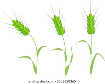 Clip art of three green wheat swaying in the wind