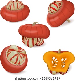 Clip art. Turban Squash or Turk s Turban. Winter squash. Cucurbita maxima. Fruits and vegetables. Isolated vector illustration.