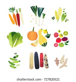 Clip art vegetable set with carrot, leek onion, sweet Hungarian pepper, Romain lettuce, various squashes, tomato, green pea, corn stalks and Jerusalem artichoke