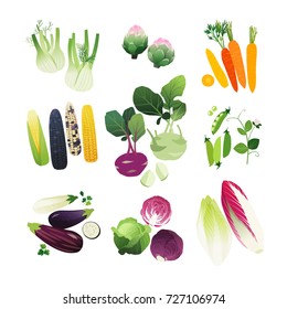  Clip art vegetables set with fennel, artichoke, carrot, corn stalks, kohlrabi, peas, eggplant, cabbage and endive lettuce