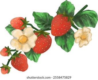 clip art watercolor illustration of red strawberry with flower and leaf for background asset