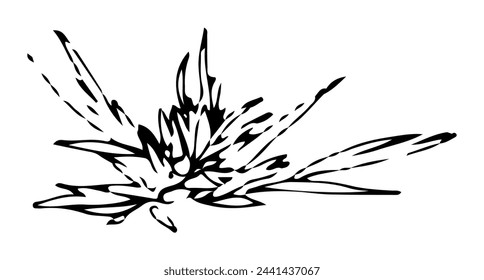 Clip art of weeds monochrome line drawing