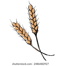 Clip art of wheat with brush touch