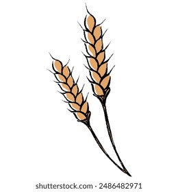 Clip art of wheat with brush touch