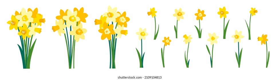 Clip art of yellow daffodils and spring bouquet of narcissus flowers isolated on white