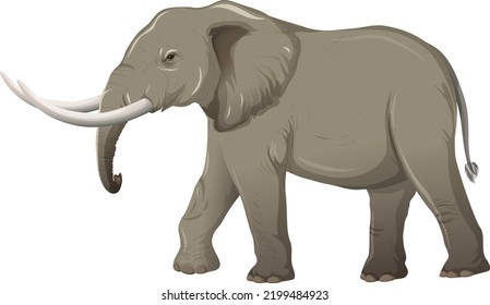 Clipart Animals with Vector File