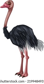 Clipart Animals with Vector File
