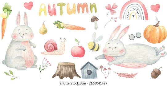 clipart with autumn elements, bunnies and vegetables, fruits, cute  illustration isolated on white background
